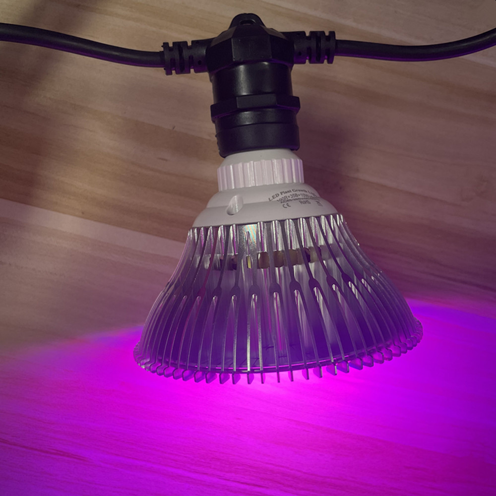 Cavo LED da 10 m, impermeabile - Lighting Decoration Ideas recensione e prezzo